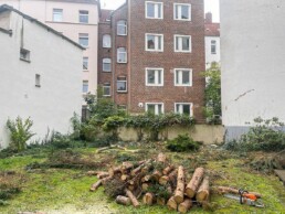 Greenline | Gartenbau | Landschaftsbau | Baumfällung | Hannover | Baumschnitt | Entsorgung | Baum | Baumfällarbeiten | Baumpflege | Spezialbaumfällung | Beengte | Verhältnisse
